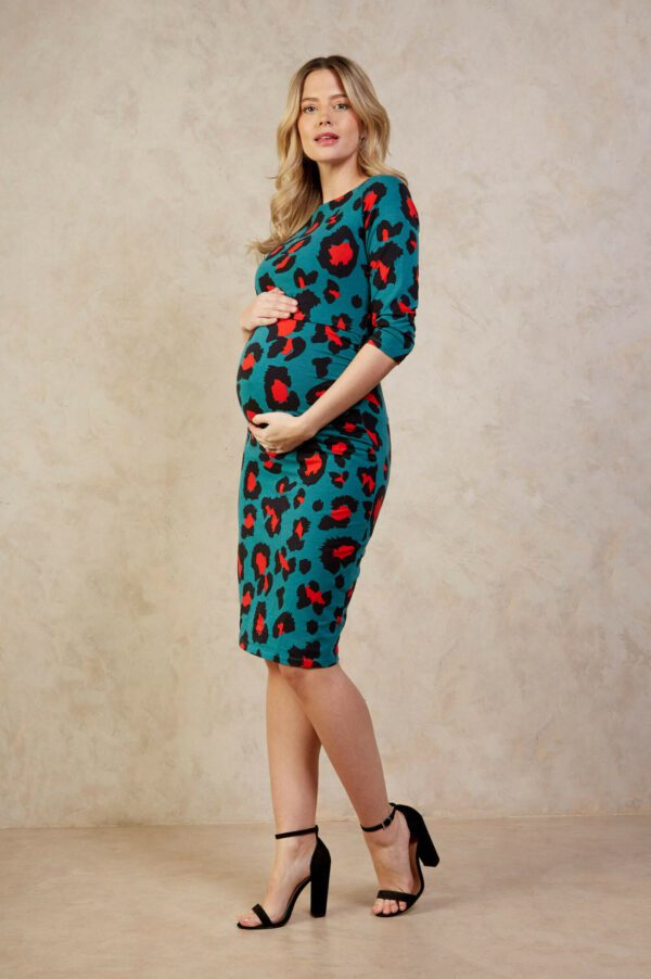 Audrey Maternity Breastfeeding Dress