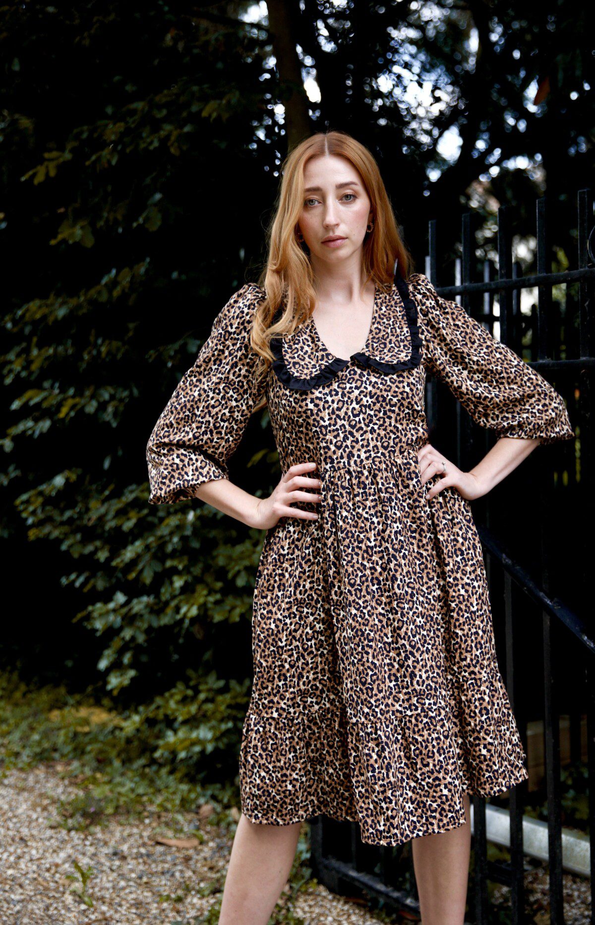 Leopard Print Midi Dress with an oversized collar, v neckline and balloon sleeves