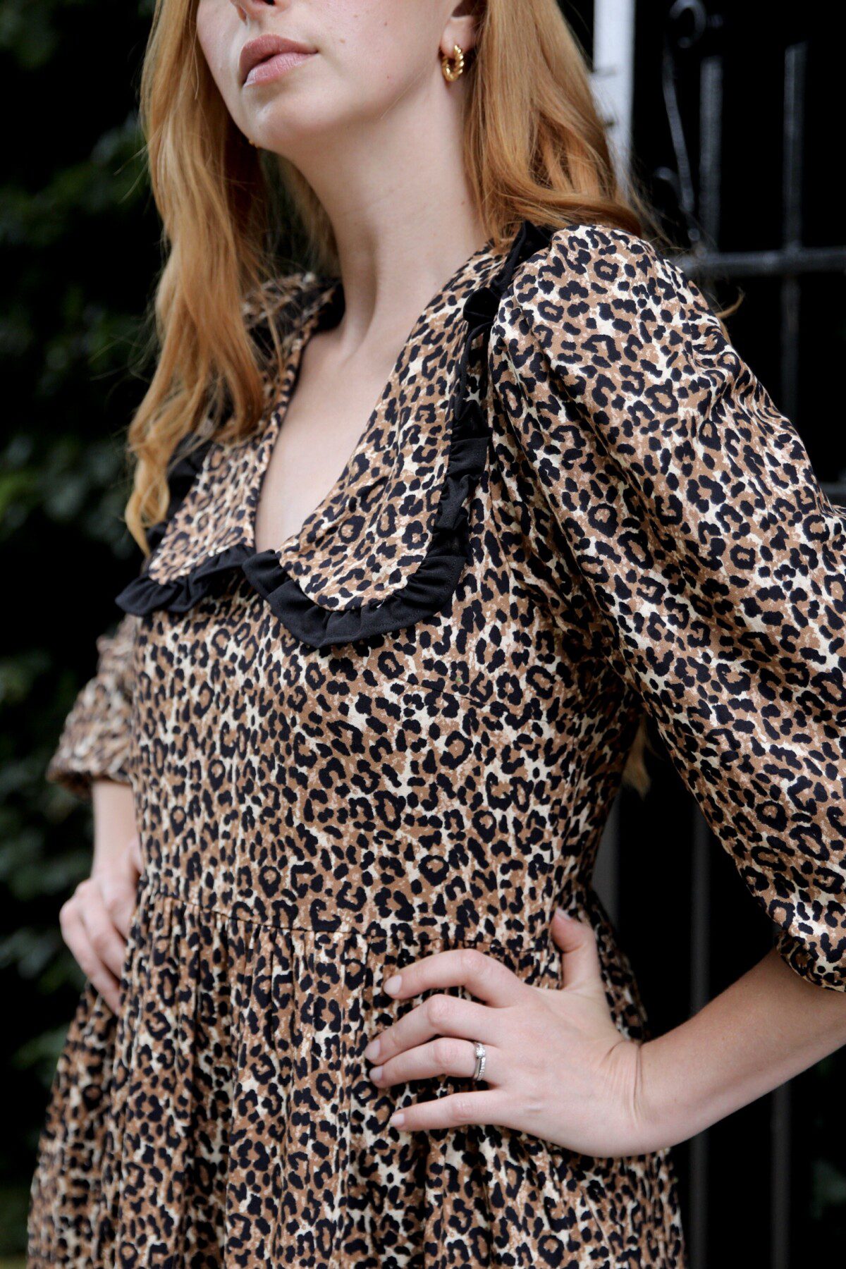 Close up of a Leopard Print Midi Dress with an oversized collar, v neckline and balloon sleeves