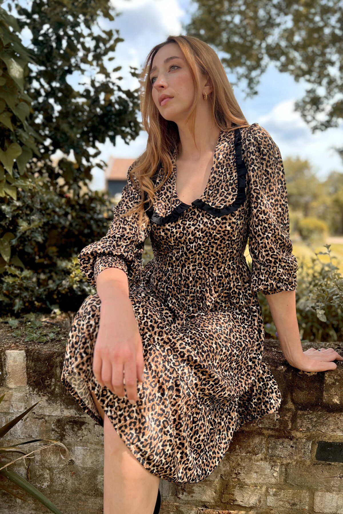 Trixie Leopard Print Midi Dress with a peter pan style collar