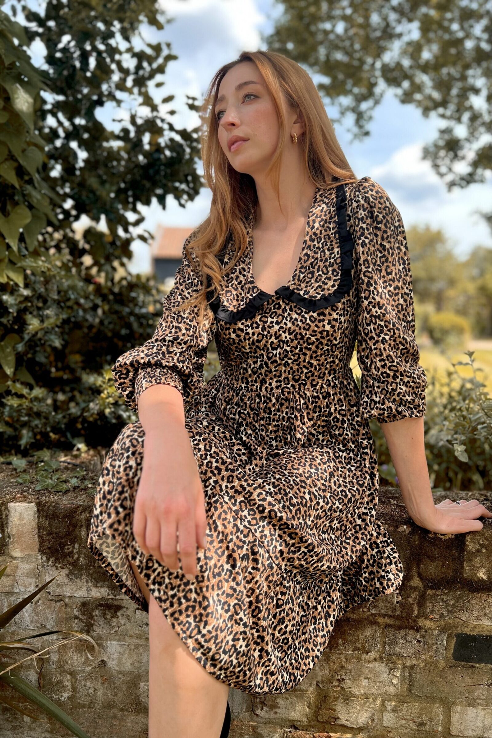 Leopard Print Collar Dress, Leopard Print Dress